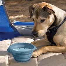 Kurgo Collaps-a-Bowl Blue