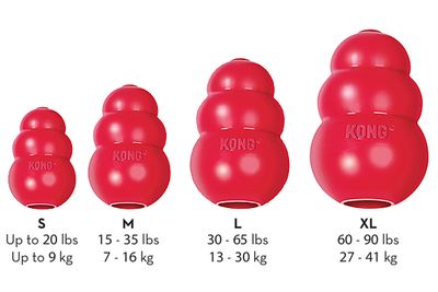 Kong Classic Large
