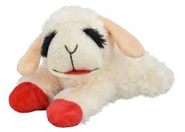 MP Lamb Chop 10"