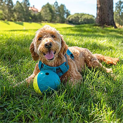 Outward Hound Nina Ottoson Treat Tumble blue small