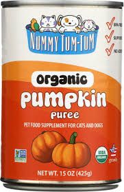 Nummy Tum Organic Pumpkin 15oz can
