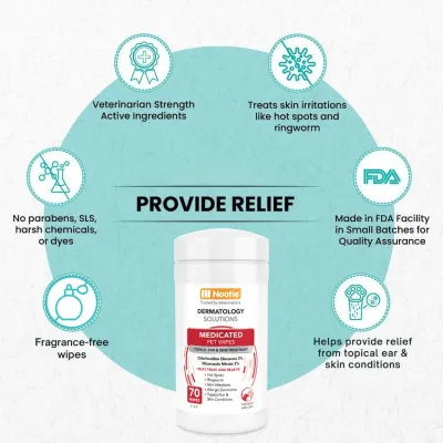Nootie Antimicrobial Wipes Large 70ct