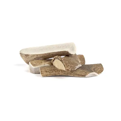 Elk Antler Split Cut Small