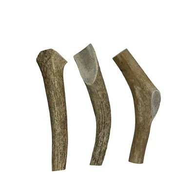 Elk Antler WHOLE Large