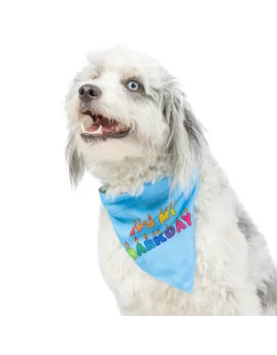 Huxley Kent Bandana Party Time Blue Small