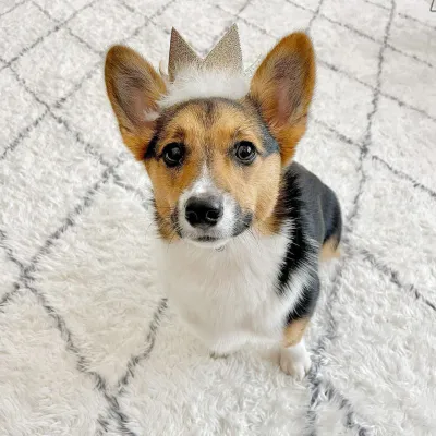 Huxley Kent Party Crown Gold Small