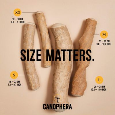 Canophera Coffee Wood Chew SM