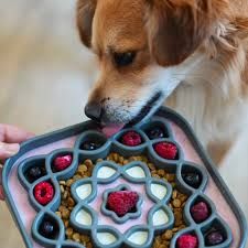 Messy Mutts Slow Feeder Square Blue 2 Cups