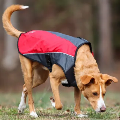 Ezydog Element Jacket Red 2XL