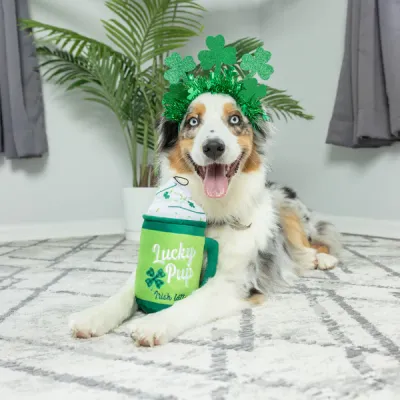 Huxley Kent ST.P Lucky Pup Irish Latte Small