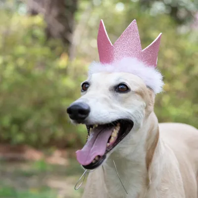 Huxley Kent Party Crown Pink Small