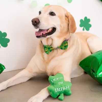 Huxley Kent ST.P Lick Me Shamrock