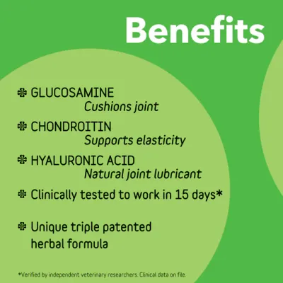 inClover Connectin Chew 100pk
