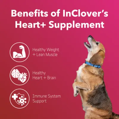 inClover BioRen Heart 100g