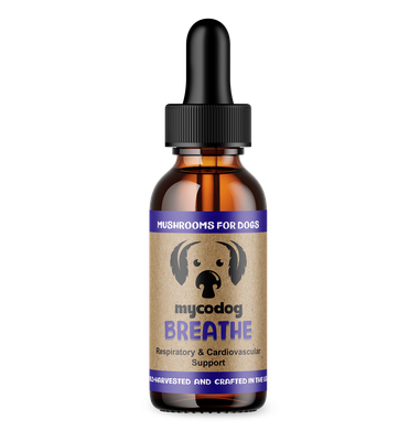CBDDOG Health Mushroom Tonics MycoDog Breathe 2oz 350mg