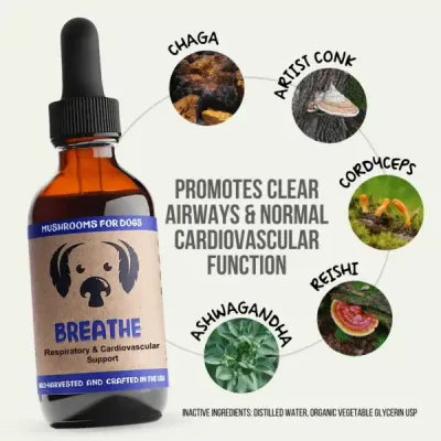 CBDDOG Health Mushroom Tonics MycoDog Breathe 2oz 350mg