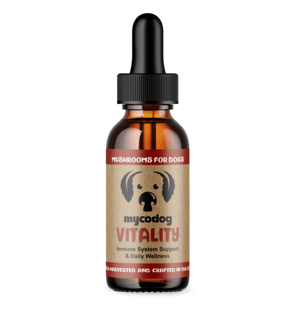 CBDDOG Health Mushroom Tonics MycoDog Vitality 2oz 350mg
