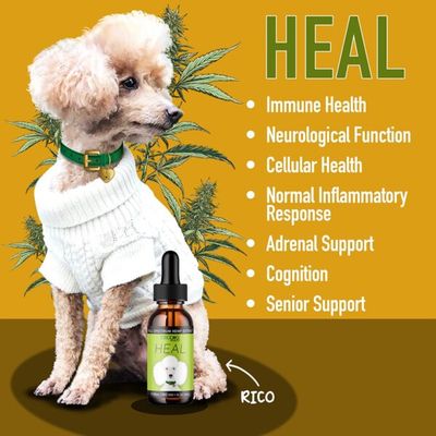 CBDDOG Health Tinctures Heal 1oz 1100mg