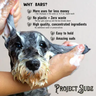 Project Sudz Shampoo Bar Flea &amp; Tick 4oz