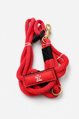 TND Leash 6' Slip Lead Safety Combo