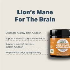 Four Leaf Rover Lion's Mane Organic Mushroom Extract 1.2oz