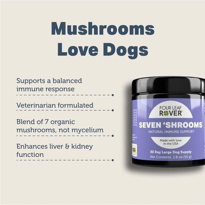 Four Leaf Rover Seven Shrooms Organic Mushroom Extract 2.8oz