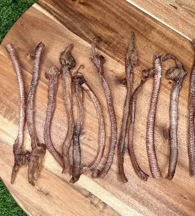 Furever Fierce Duck Trachea Bulk 160ct Bag single