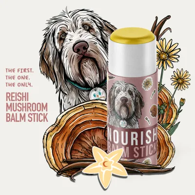 CBDDOG Health Salves Nourish Balm Stick 300mg