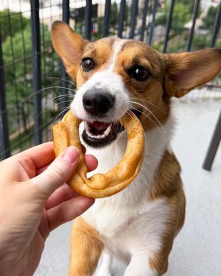 Frankly Collagen Donut Chicken