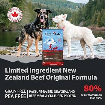 FirstMate Dog LID GF Beef 5#