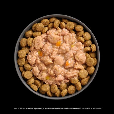 Petcurean GO Booster Tranquility Stew Chicken 2.8oz Pouch