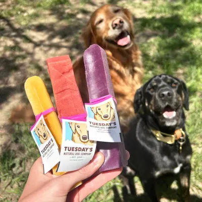 Tuesdays Natural Dog Plain Yak Cheese Medium