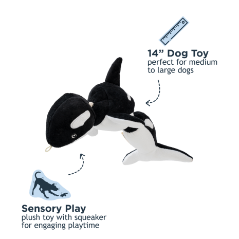 TTLS Territory Shake Orca
