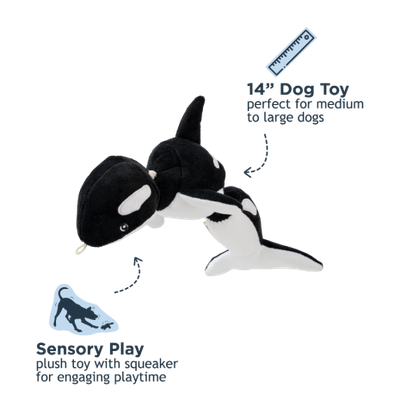 Tall Tails Shake Orca