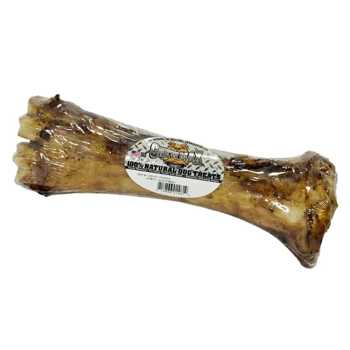 CM Shank Bone