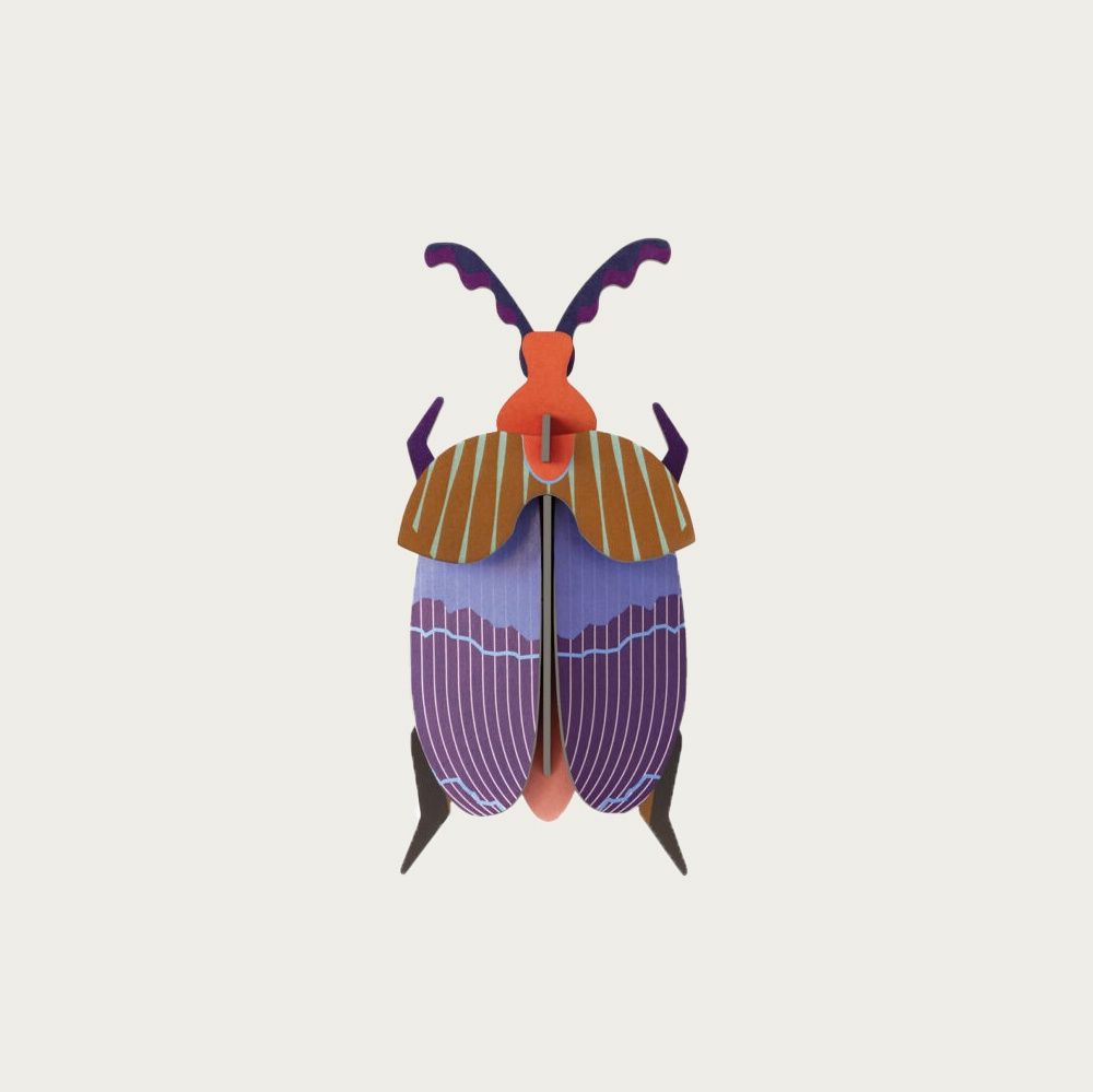 QUEEN BEETLE