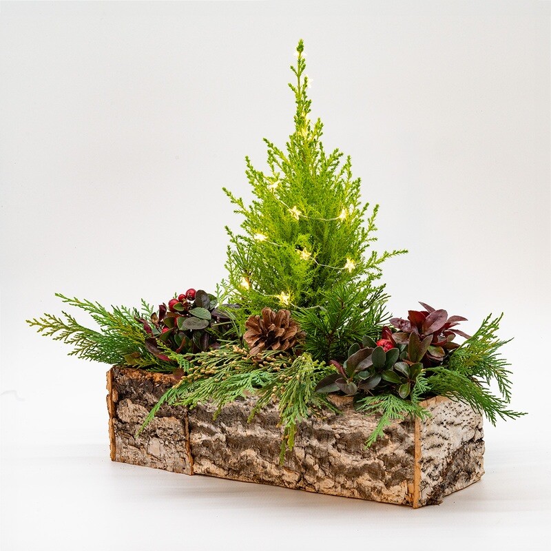 Planter Box, with Holiday Cypress Tree, Berries &amp; Lights
