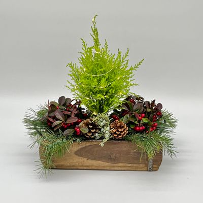 Planter Box, with Holiday Cypress Tree, Berries &amp; Lights
