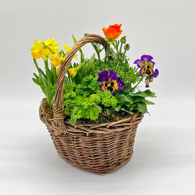 Small Spring Plant Basket