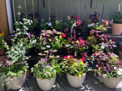 Container Collections