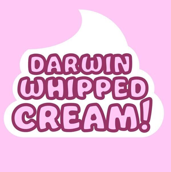 Darwin Whipped Cream