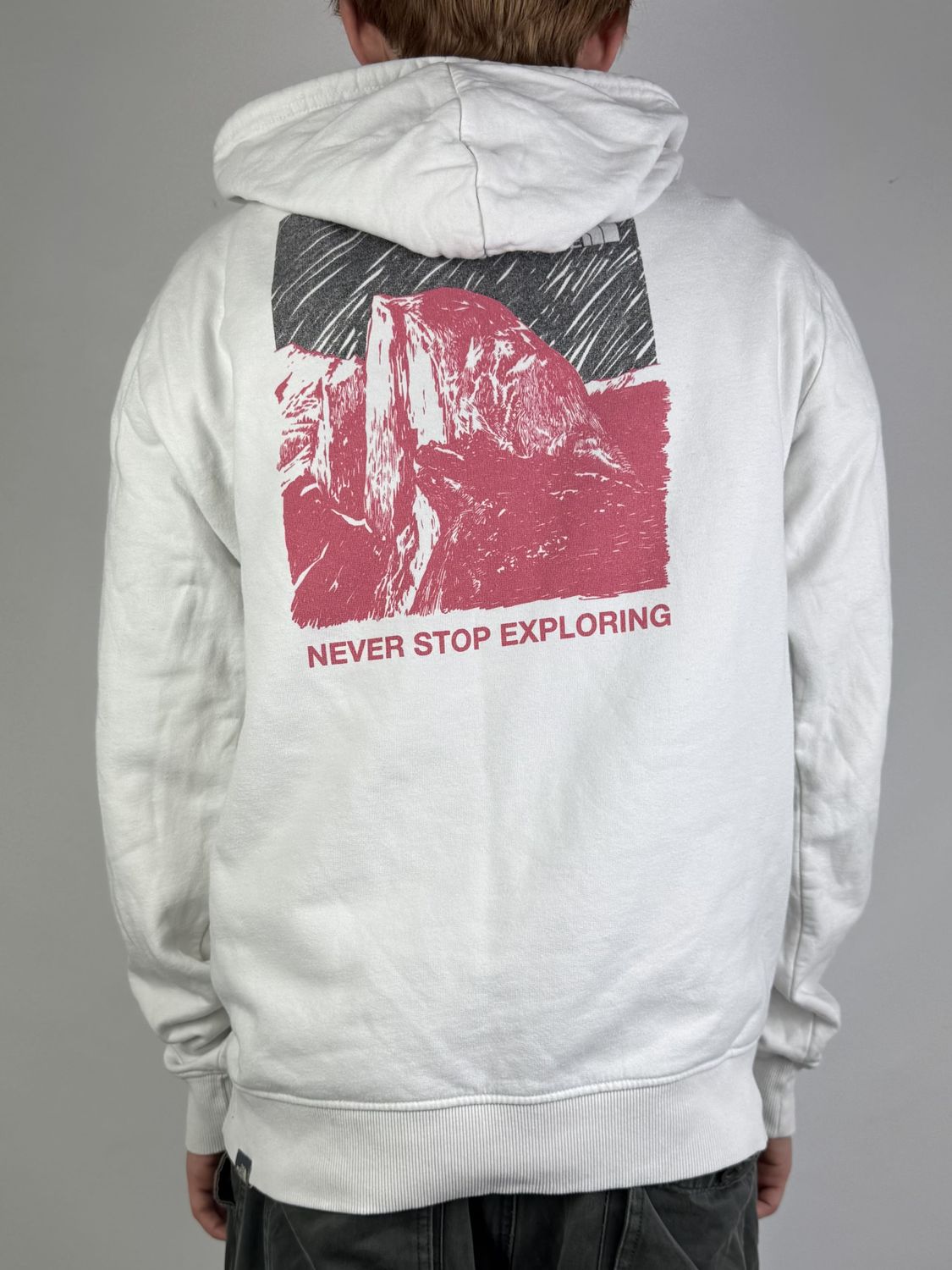 Bluza z kapturem The North Face (L)