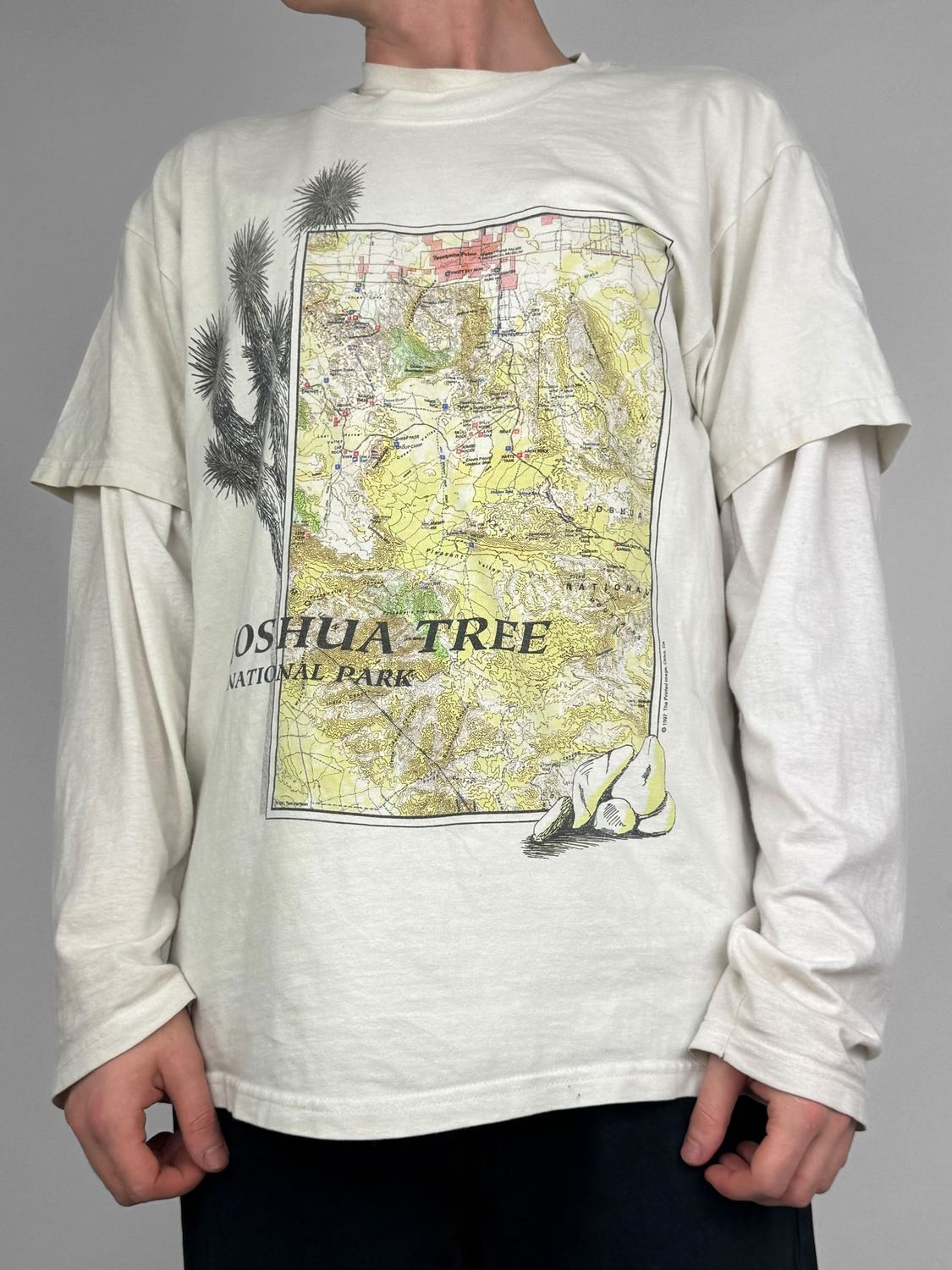 T-shirt Joshua Tree National Park 90's (L)