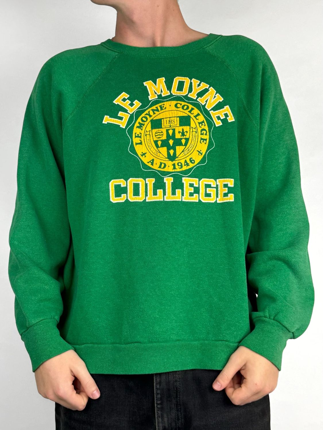 Bluza Le Moyne College 90's USA College Crewneck (M)