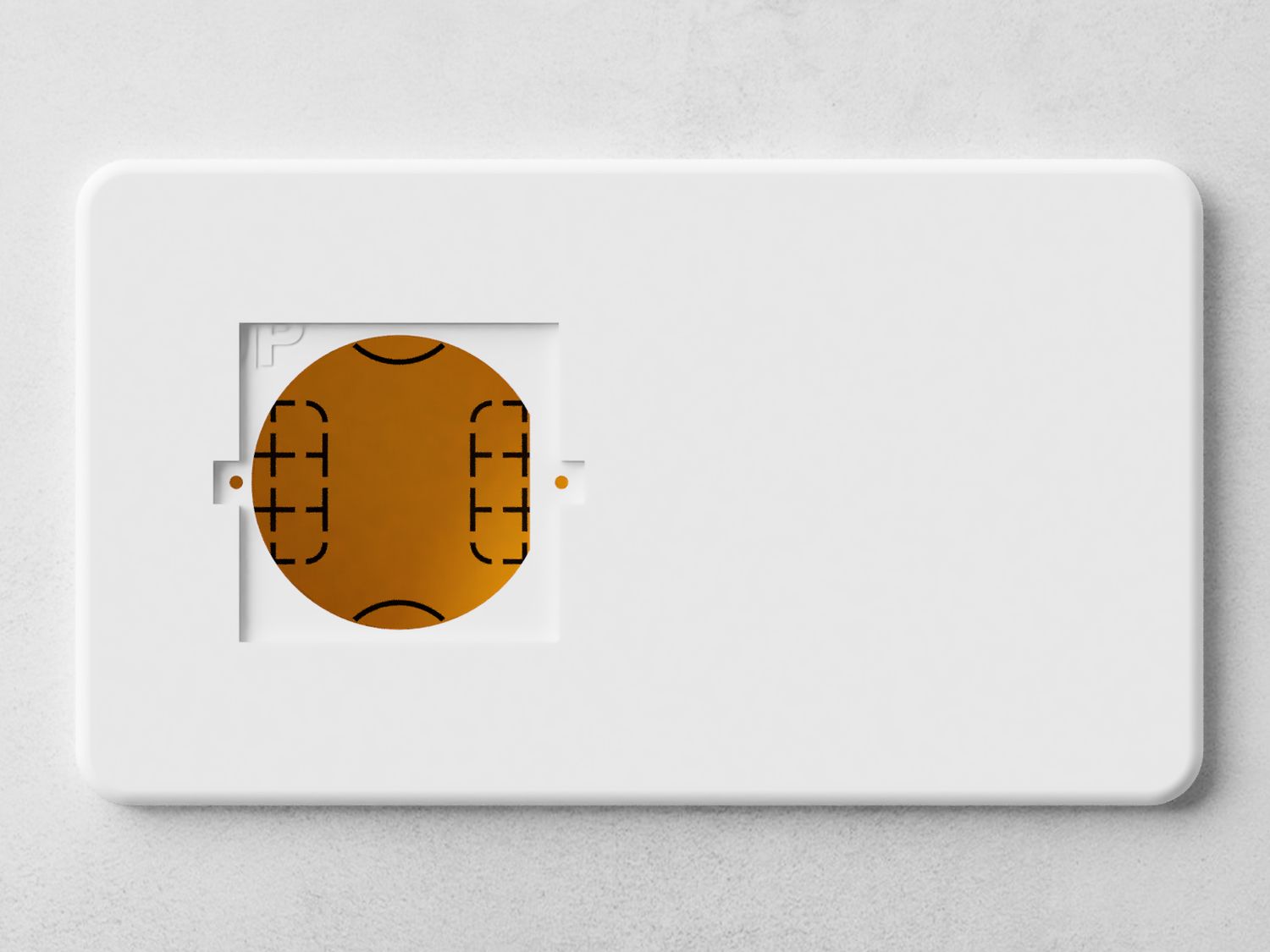 Wall plate for Shelly Wall Display X2