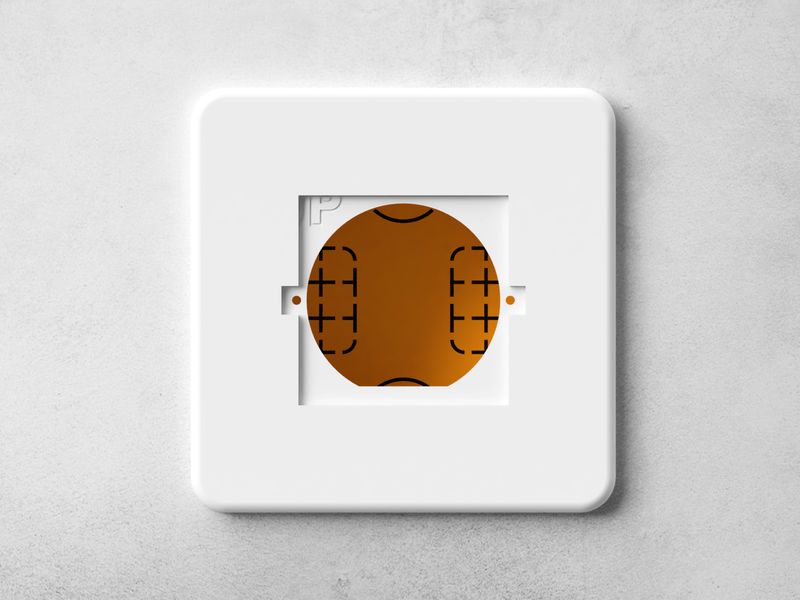 Wall plate for Shelly Wall Display