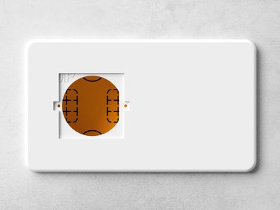 Wall plate for Shelly Wall Display X2