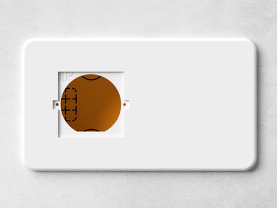 Wall plate for Shelly Wall Display X2i