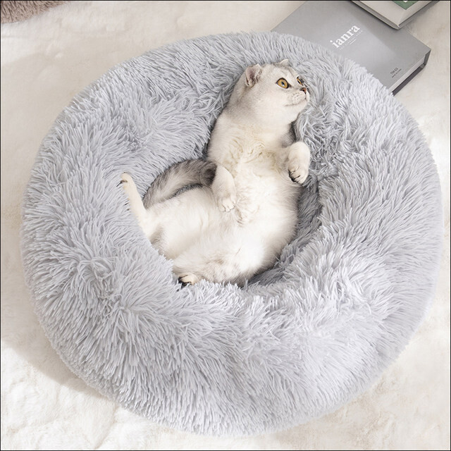 Pet Dog Bed