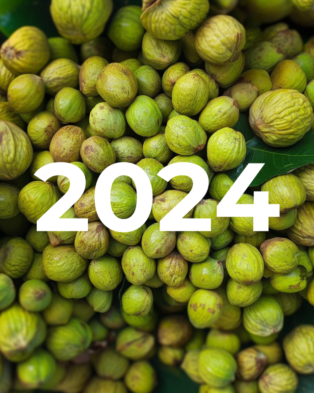 Barrel Aged Nocino 2024